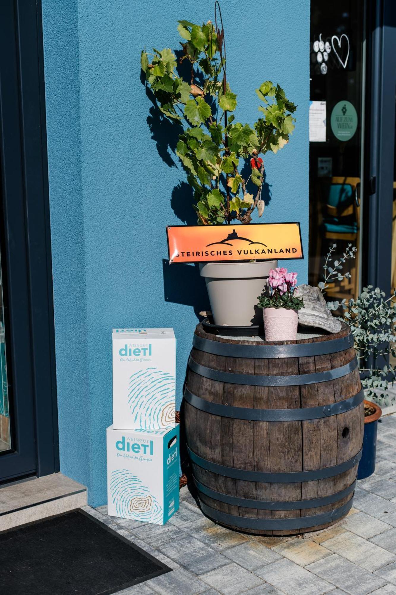 Winzer Suite - Weingut Dietl Riegersburg Exterior photo
