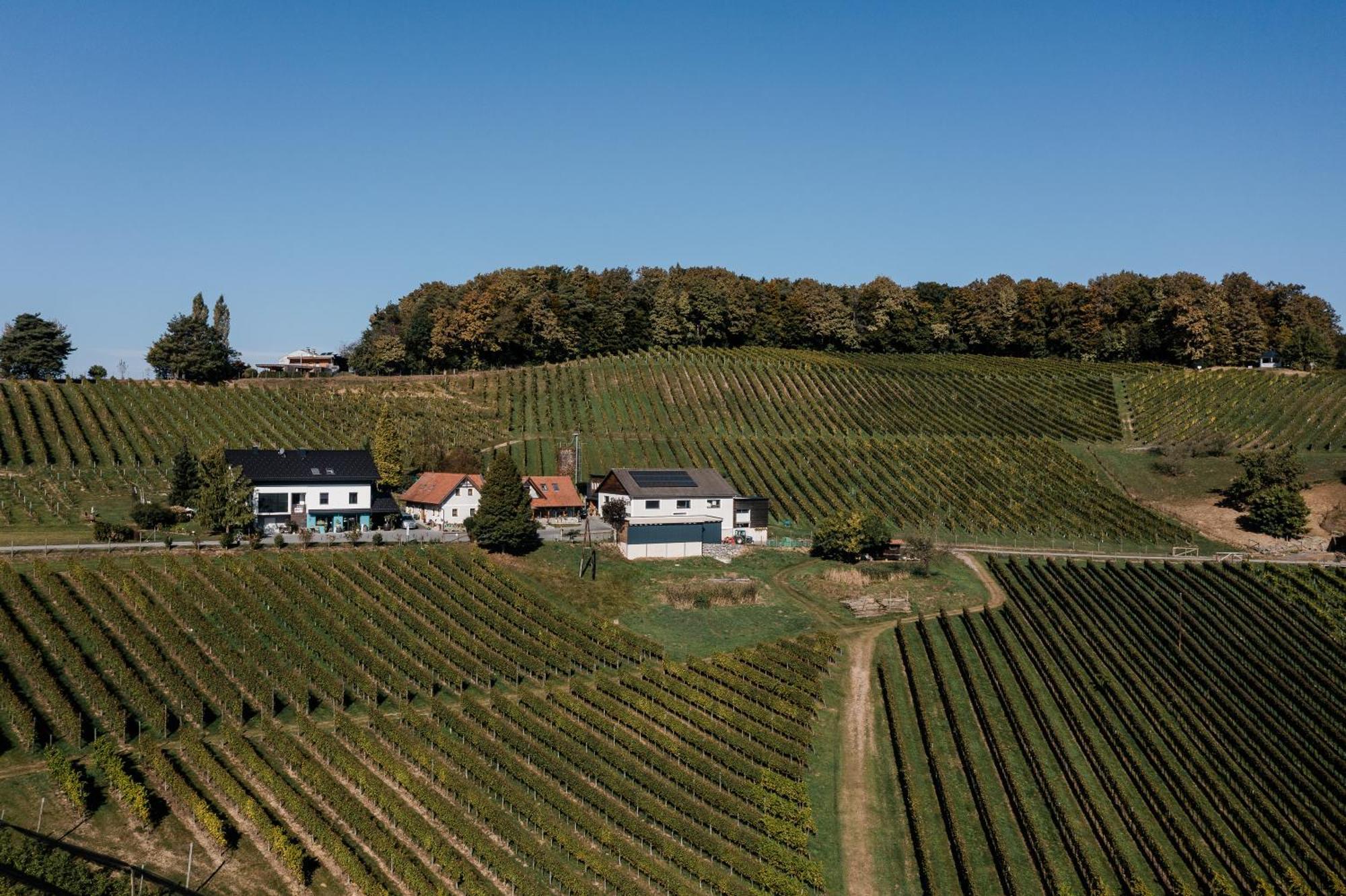 Winzer Suite - Weingut Dietl Riegersburg Exterior photo