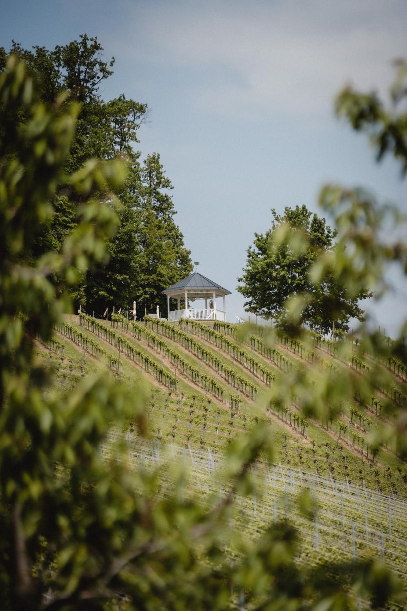 Winzer Suite - Weingut Dietl Riegersburg Exterior photo